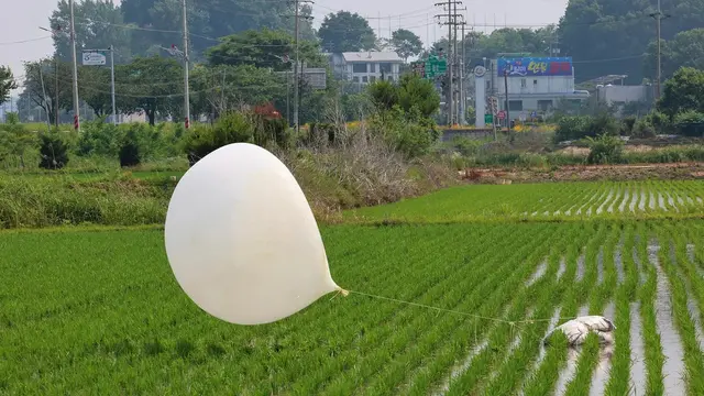 Seoul: Korea Utara Kirim 900 Balon Sampah ke Korea Selatan