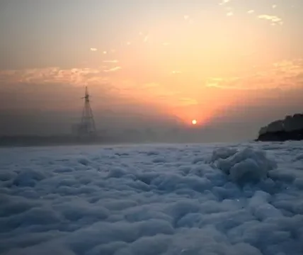 Ahli: Sungai Suci Yamuna di India Mati Akibat Limbah Beracun, Airnya Berbuih